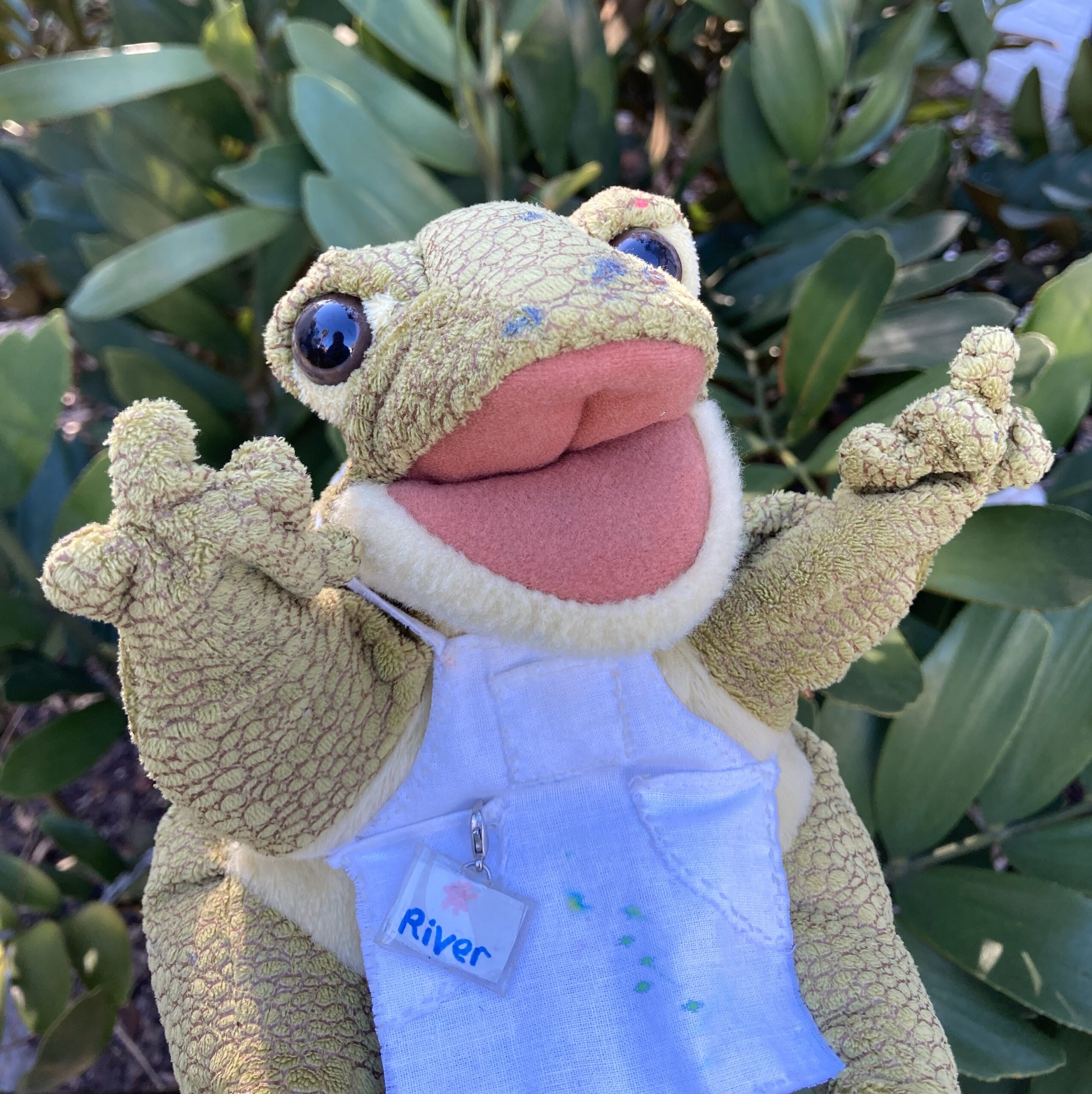 River the Frog
